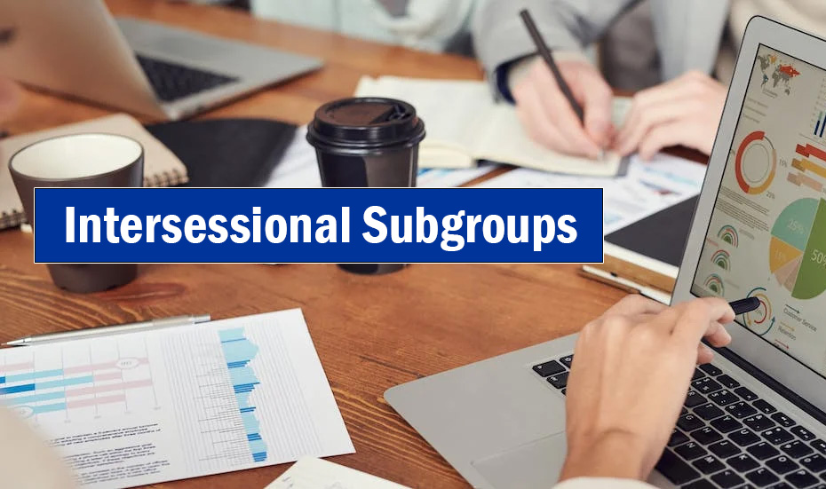 Intersessional Subgroups